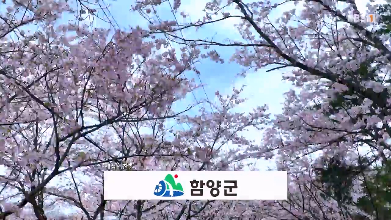 세상의모든기행함양, 봄나물 따라 함양 오일장으로.mp4_20230523_210843.473.jpg