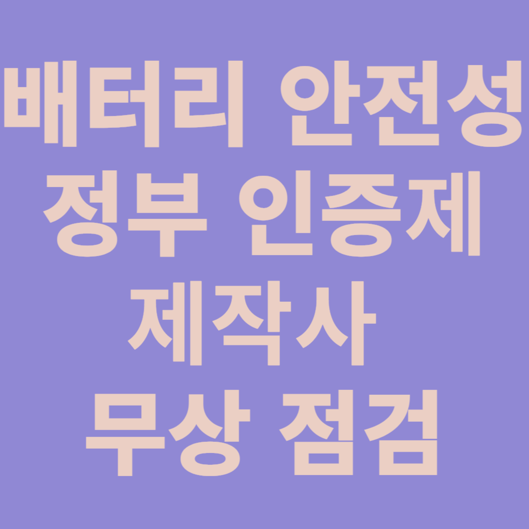 전기차 배터리 안전성 인증제, 12개 시험 통해 정부 직접 인증, 14개 제작사 전기차 무상 안전점검