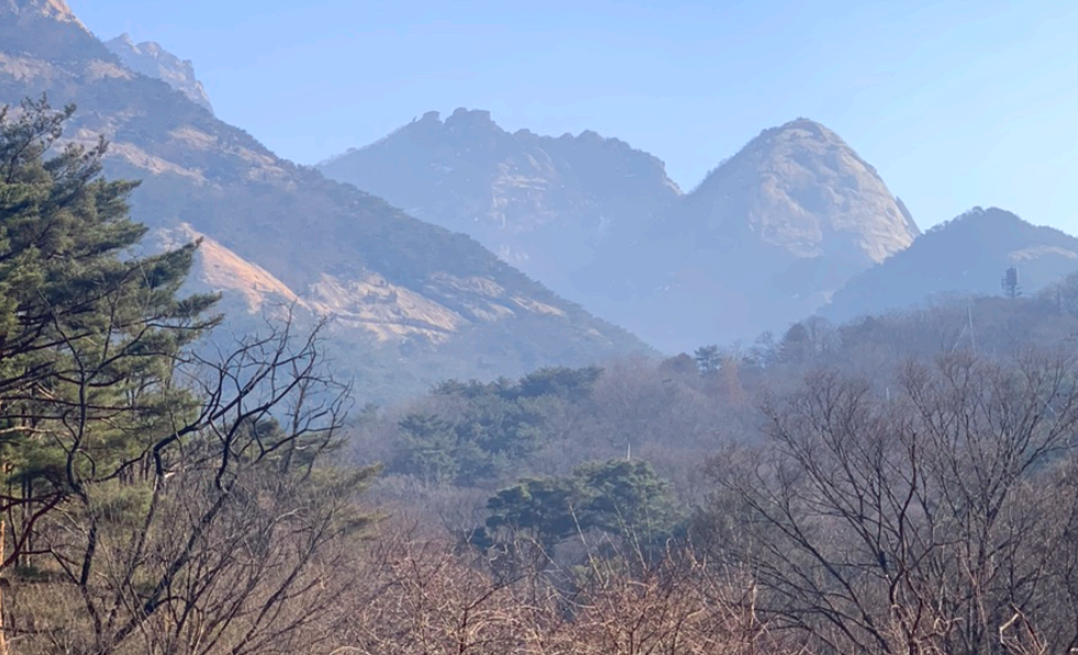 북한산 국립공원 반려견 동반입장 탐방로에서 바라본 풍경사진