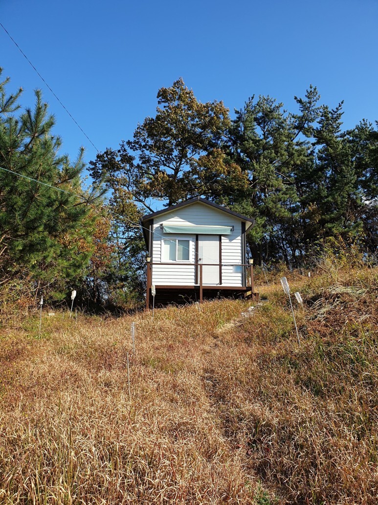 자연과숲 이미지