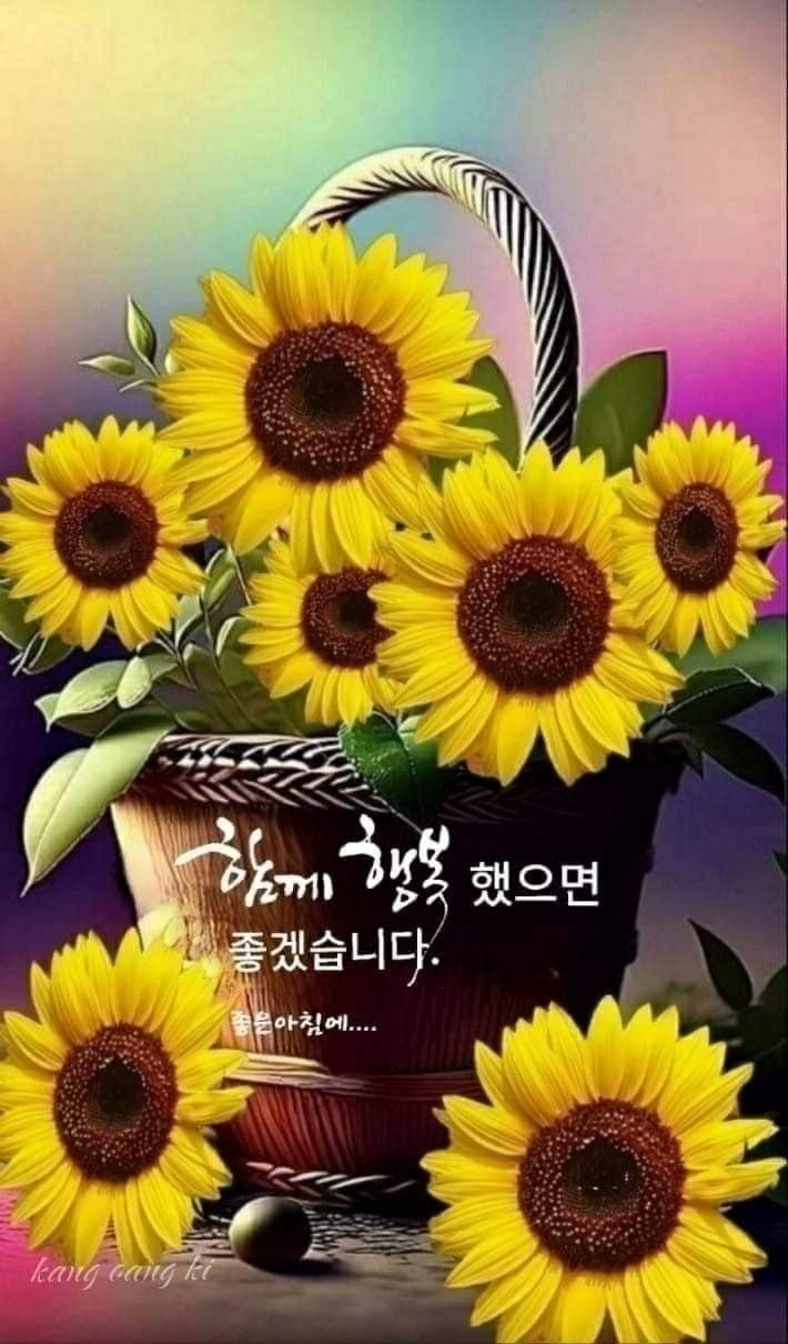  오늘의 좋은글 338번째 희망을 가지기 위해서는 아주 많은 용기가 필요합니다