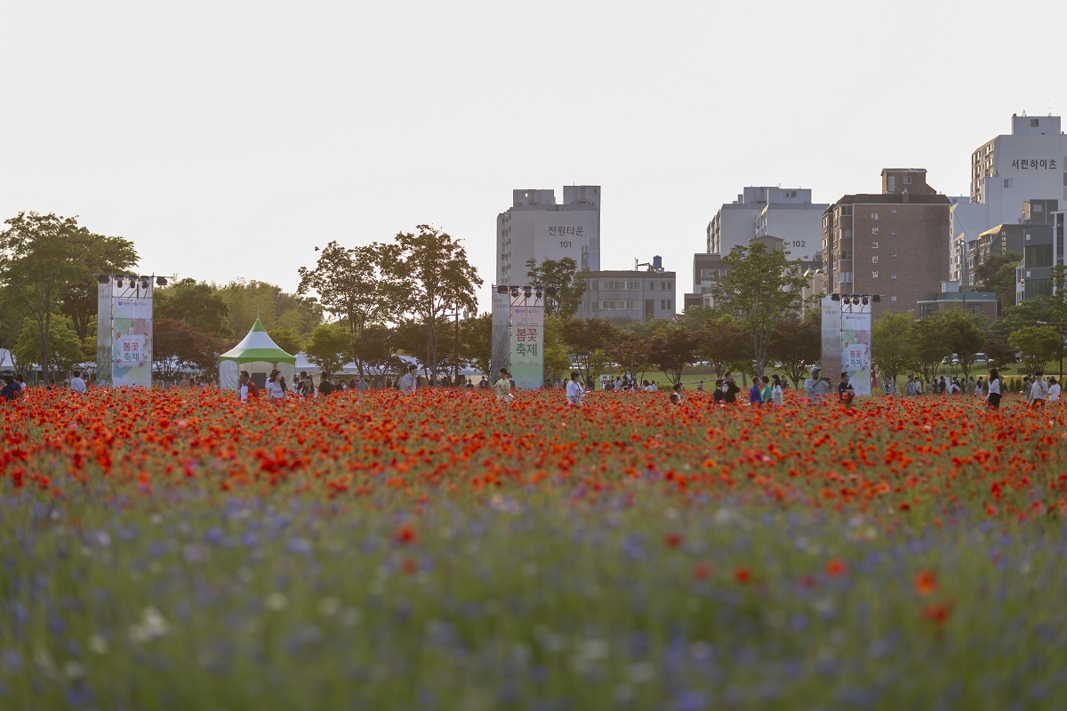 태화강 국가정원 봄꽃축제 관련 사진