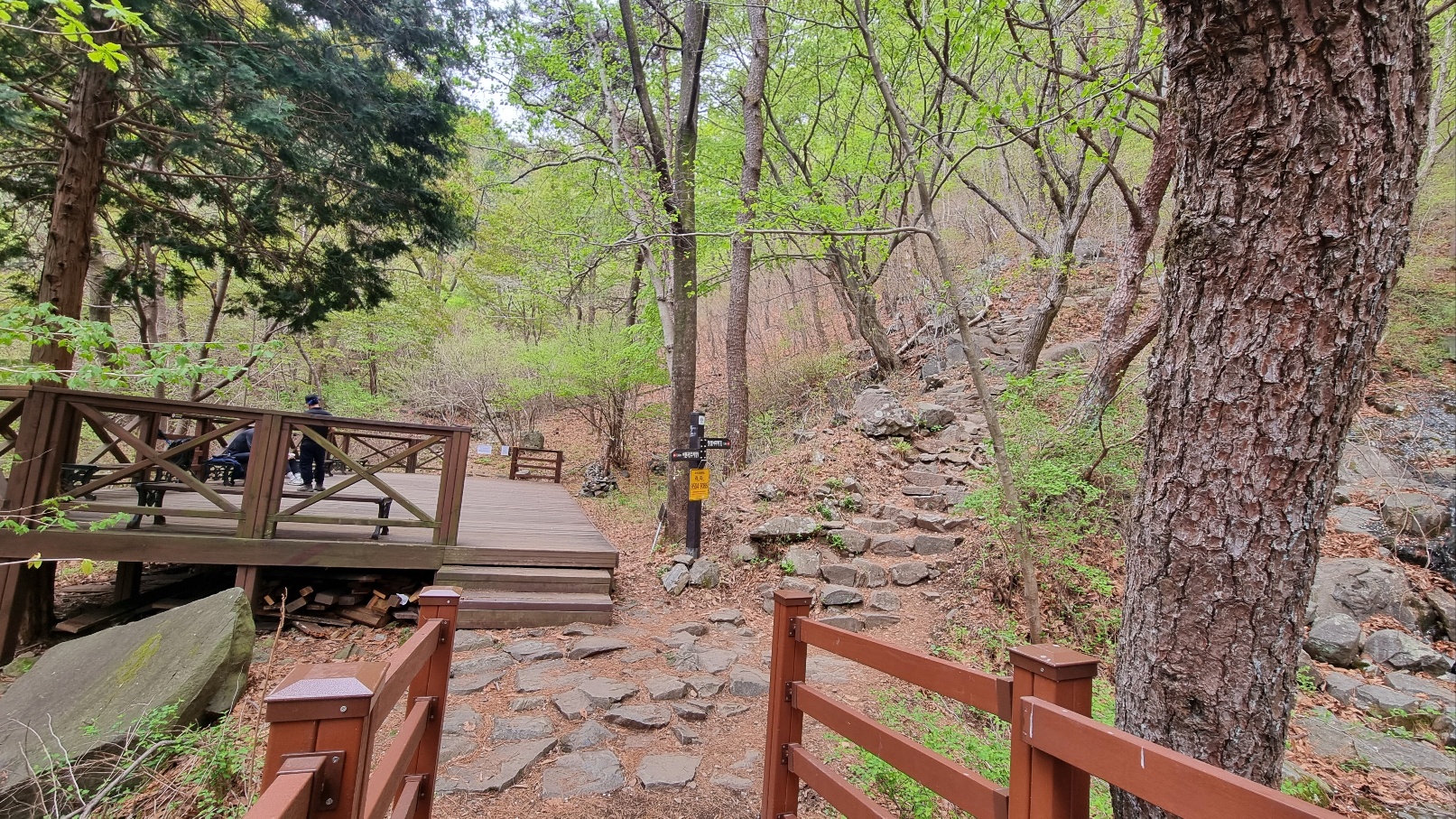 무학산 등산8