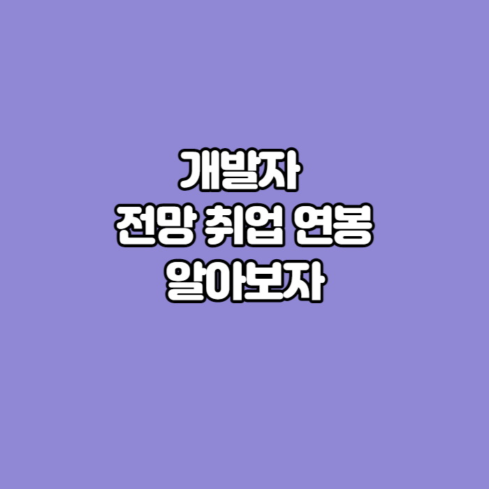 개발자-정보-썸네일