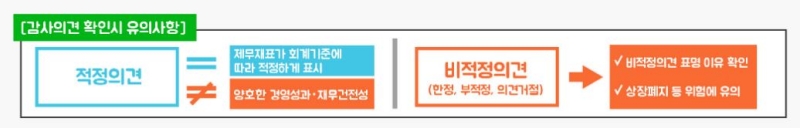 감사의견&nbsp;확인시&nbsp;유의사항