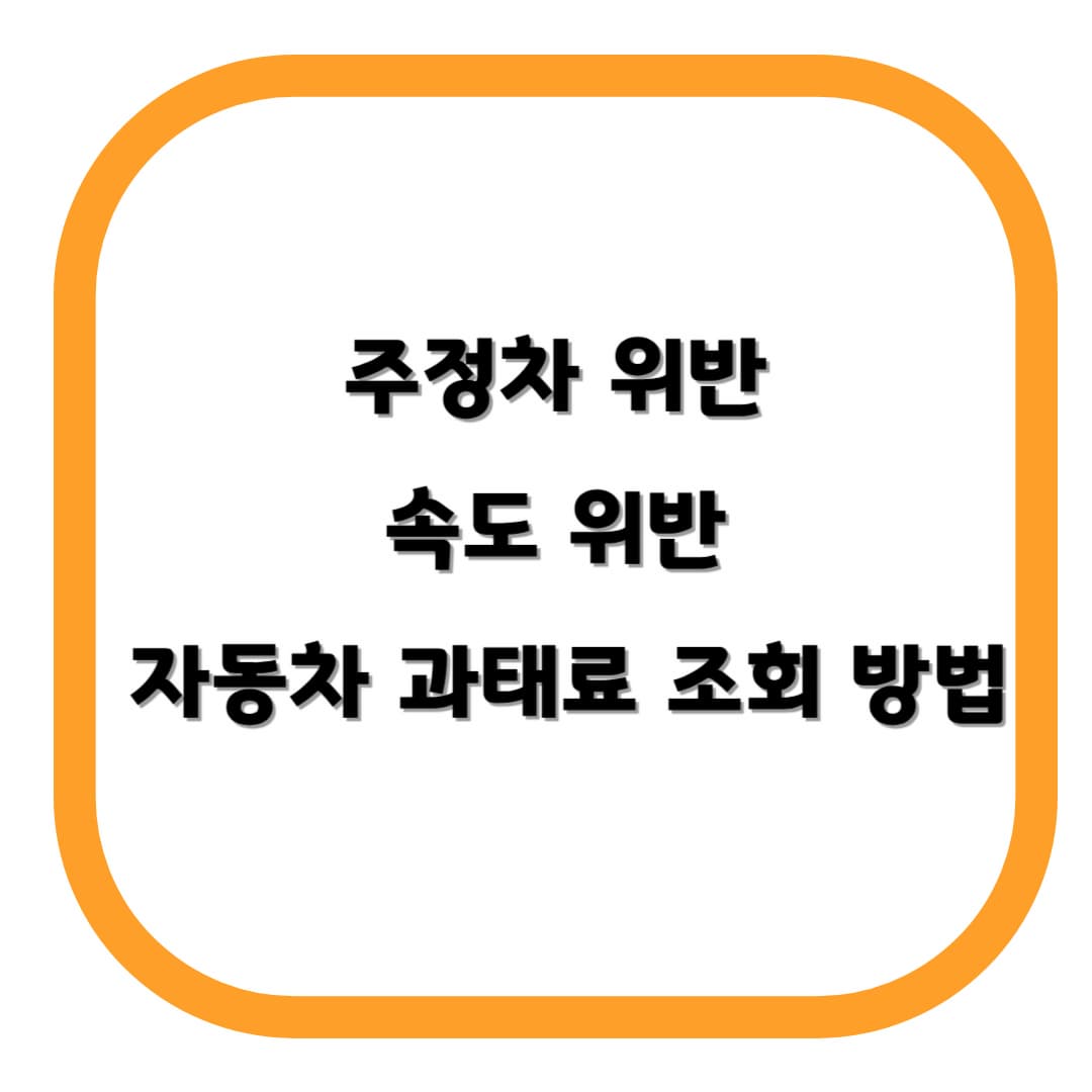 주정차 위반/ 속도 위반 / 자동차 과태료 조회 방법