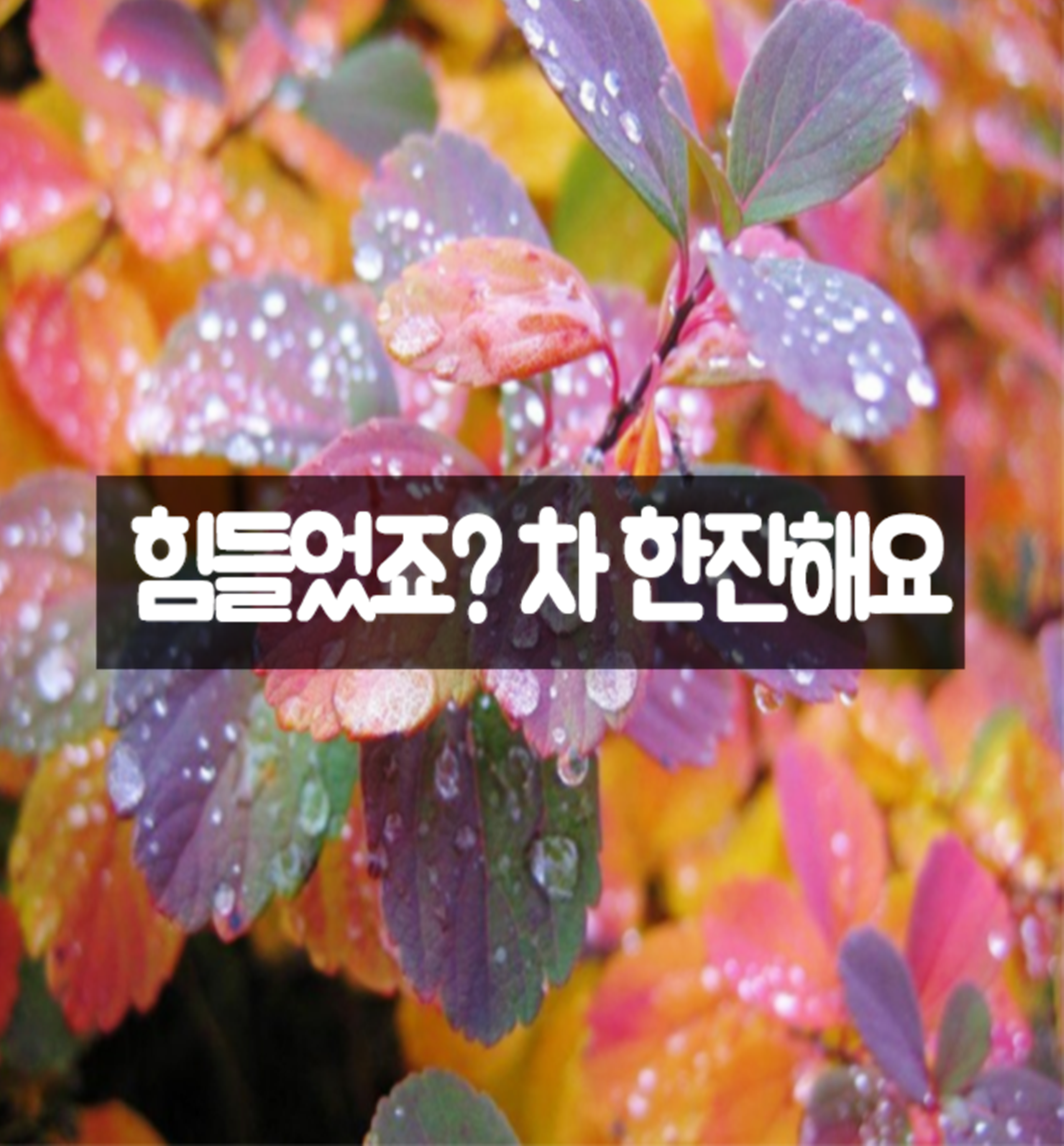  힘들다면, 그때를 위한. 짧고 좋은 글귀's #18