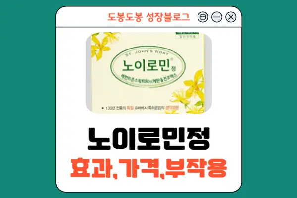 노이로민정 안내 이미지