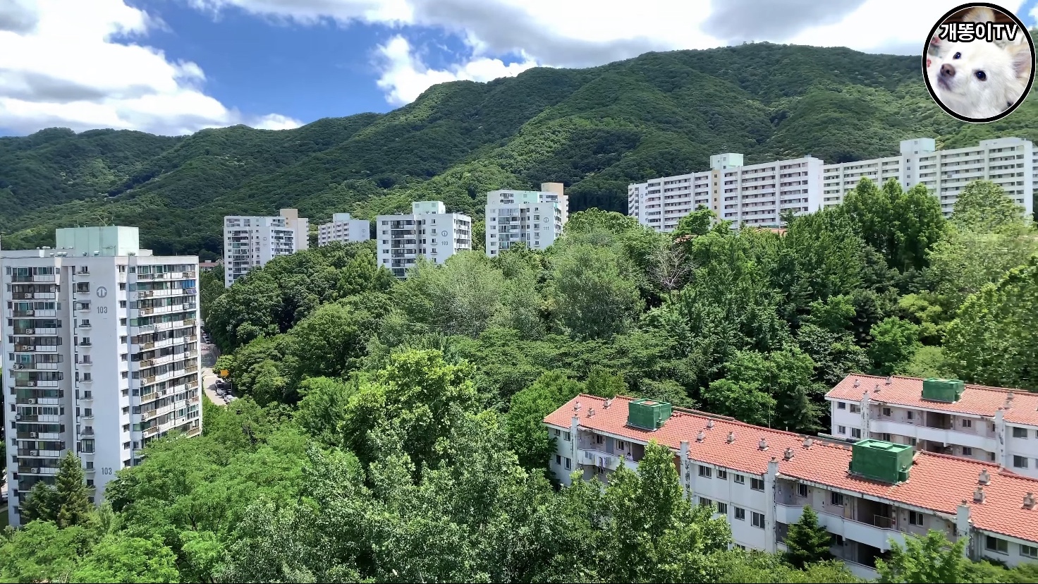  은행주공아파트 뷰 Korea Seoul Apartment | 은행동의 은행나무, 자이아이파크 | 성남 중원구 은행동
