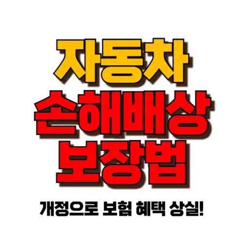 자동차손해배상보장법 썸네일