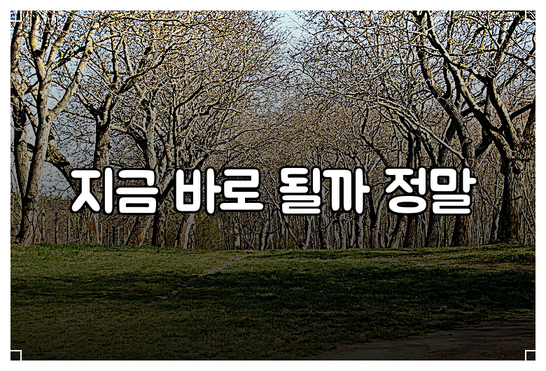 지금 바로 될까 정말