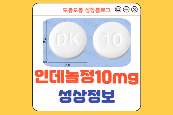 인데놀정10mg 성상 정보