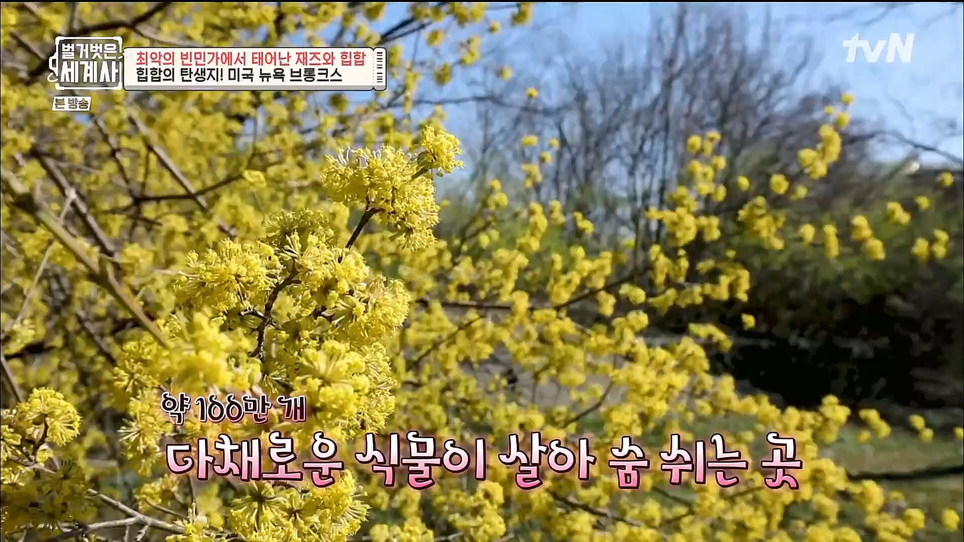 벌거벗은 세계사.E77.221213p.H264-F1RST.mp4_20230112_205038.039.jpg