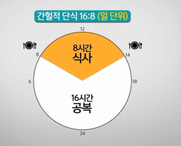 간헐적 단식&amp;#44; 16:8