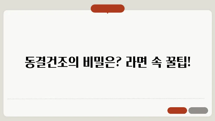 라면에 들어가는 건더기?! 돐결건조를 알아보자
