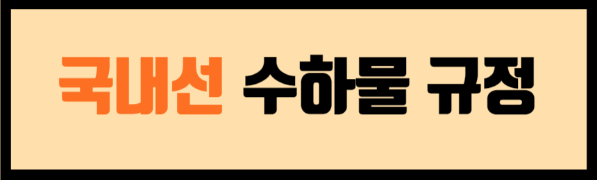 국내선 수하물