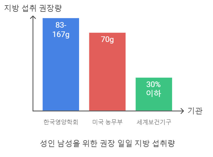 성인 남성을 위한 권장 일일 지방 섭취량