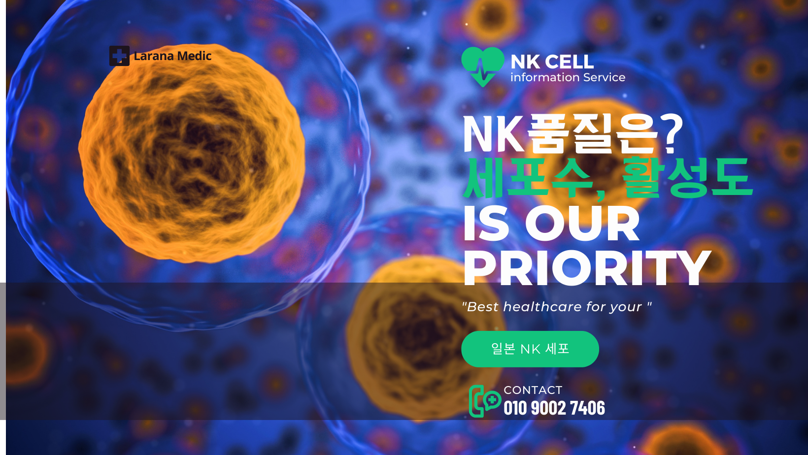 NK 세포