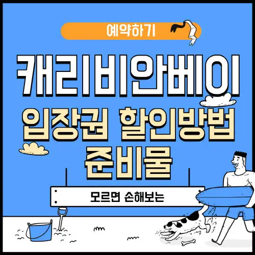 캐리비안베이 입장권