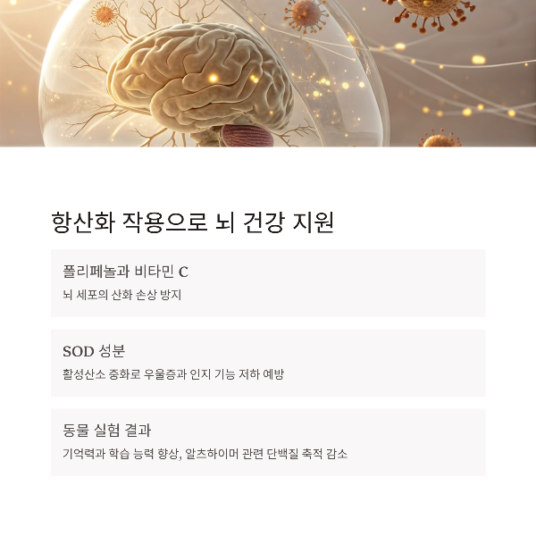 루이보스차