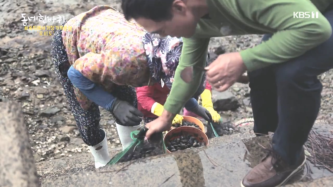 동네 한 바퀴.E243.231015p-NEXT.mp4_20231015_183711.714.jpg