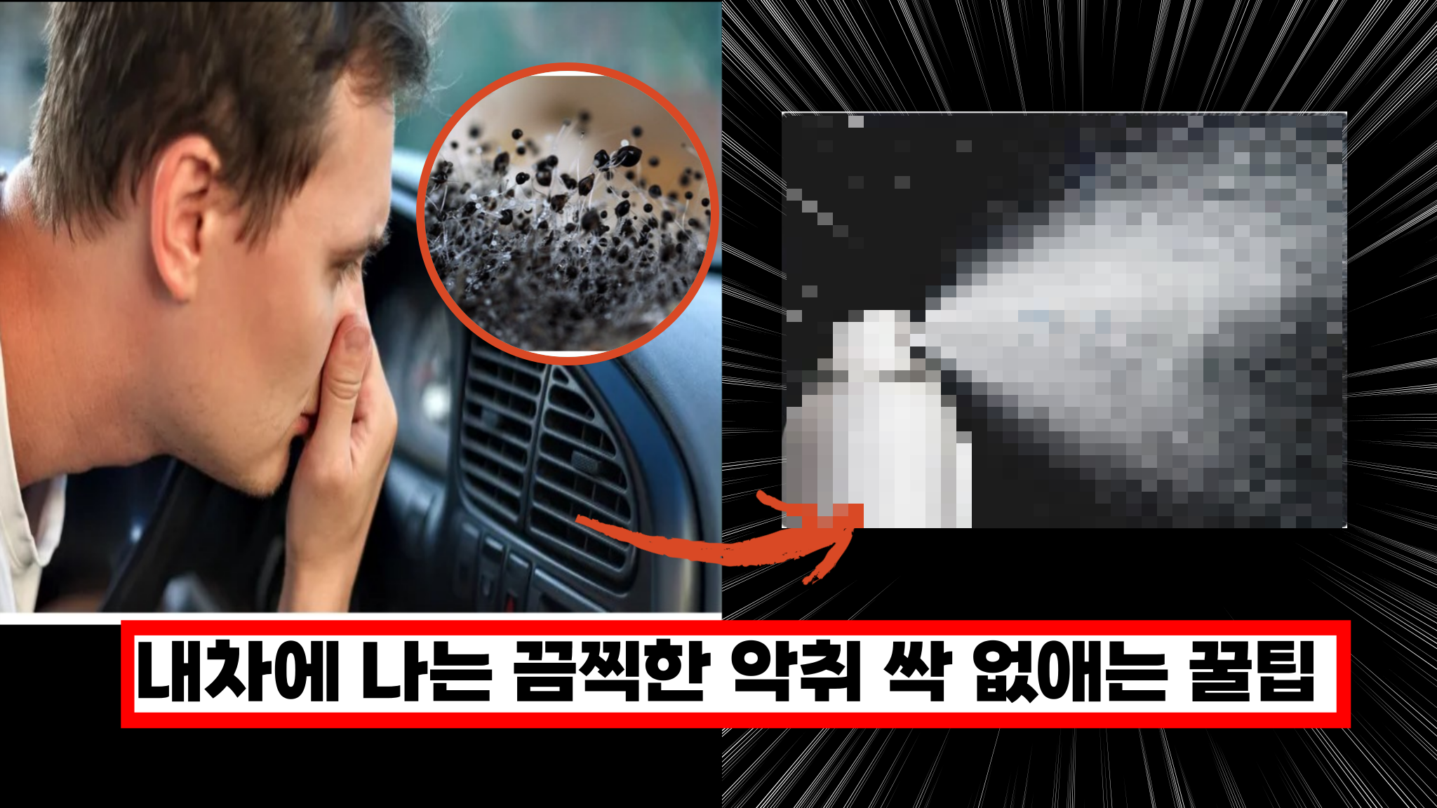  자동차 에어컨 퀴퀴한 냄새 싹 없애는 꿀팁 공개(+곰팡이 세균 원인)