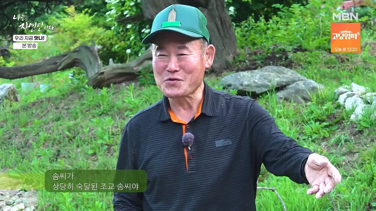나는 자연인이다.E609.240613p-NEXT.mp4_20240613_195120.845.jpg