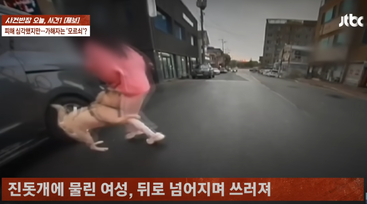 개물림사고