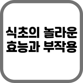 식초의 놀라운 효능과 부작용