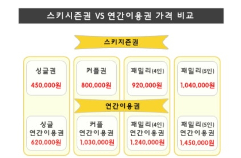 스키시즌권