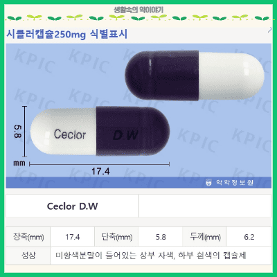 시클러캡슐250mg 성상