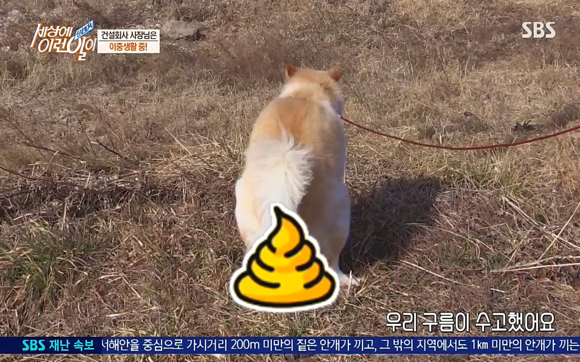 순간포착 세상에 이런일이.E1171.220316p-NEXT.mp4_20220316_185019.293.jpg