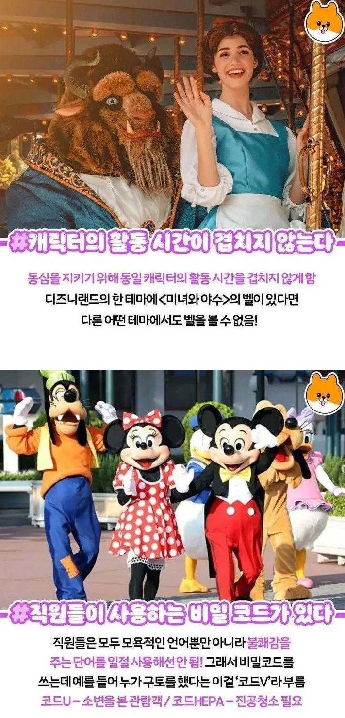 디즈니 랜드 직원들의 비밀 03