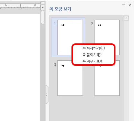 한글에서 쪽 모양 보기에서 쪽 복사하기 붙이기 모습