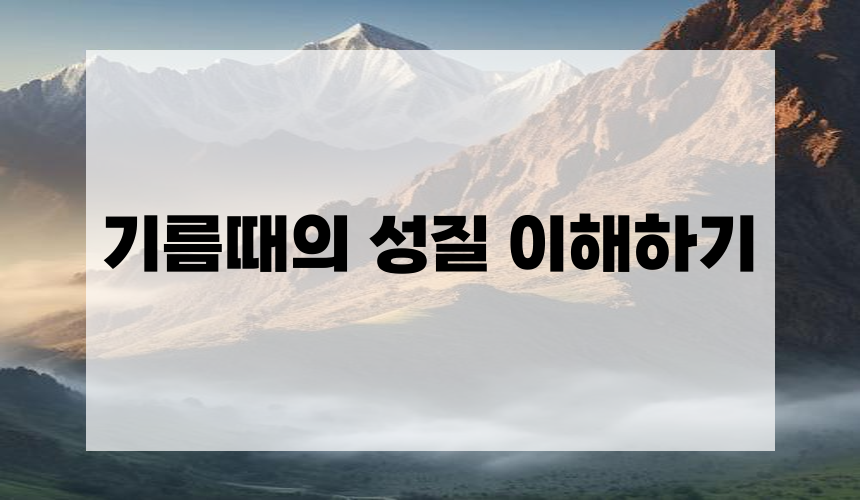 기름때의 성질 이해하기