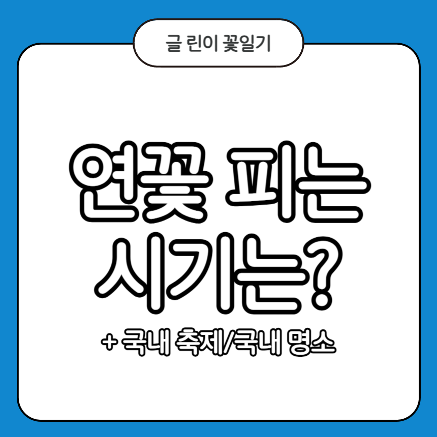 연꽃 피는 시기