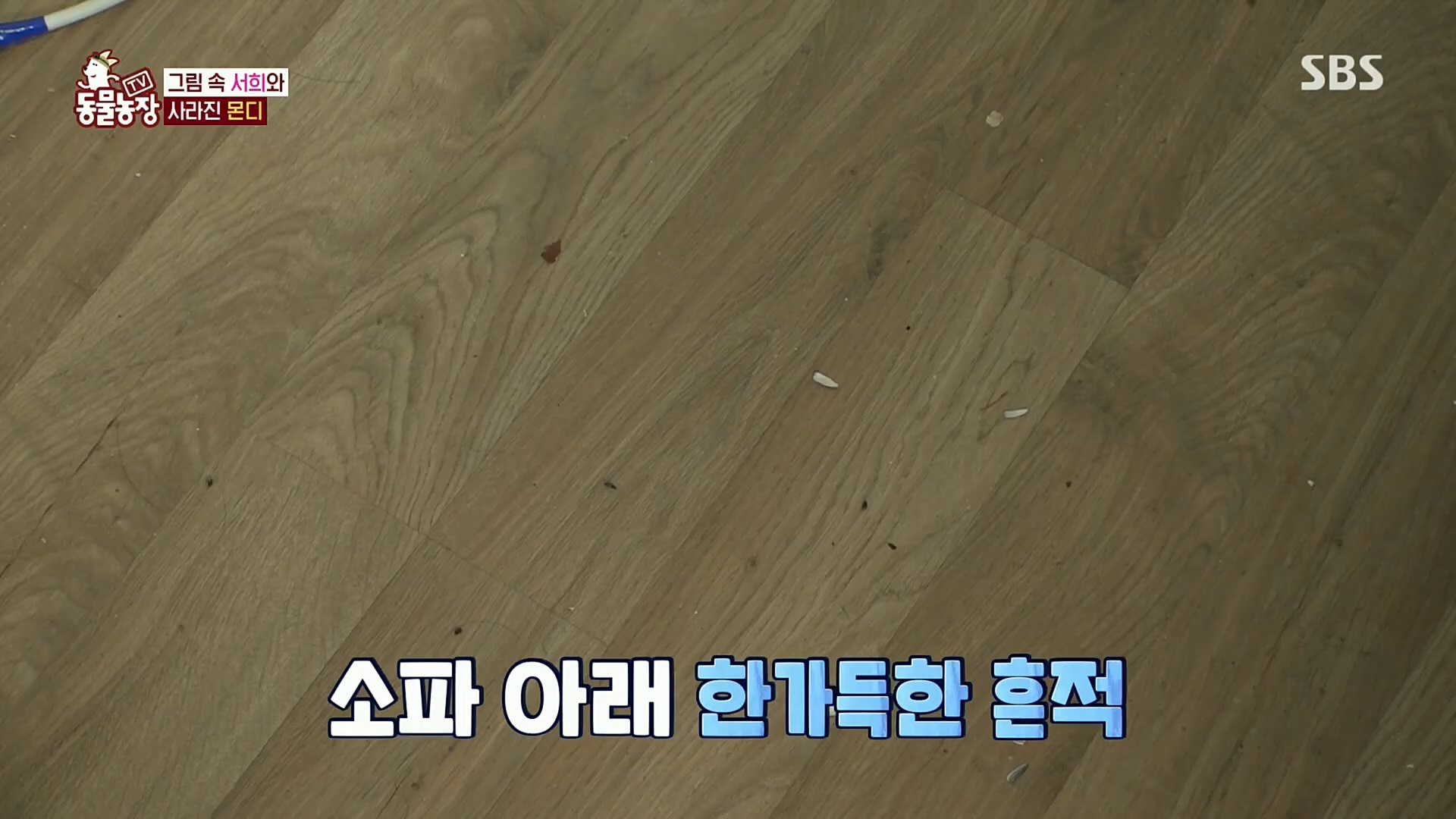 TV 동물농장.E1092.221023p.H264-F1RST.mp4_20221023_182737.619.jpg