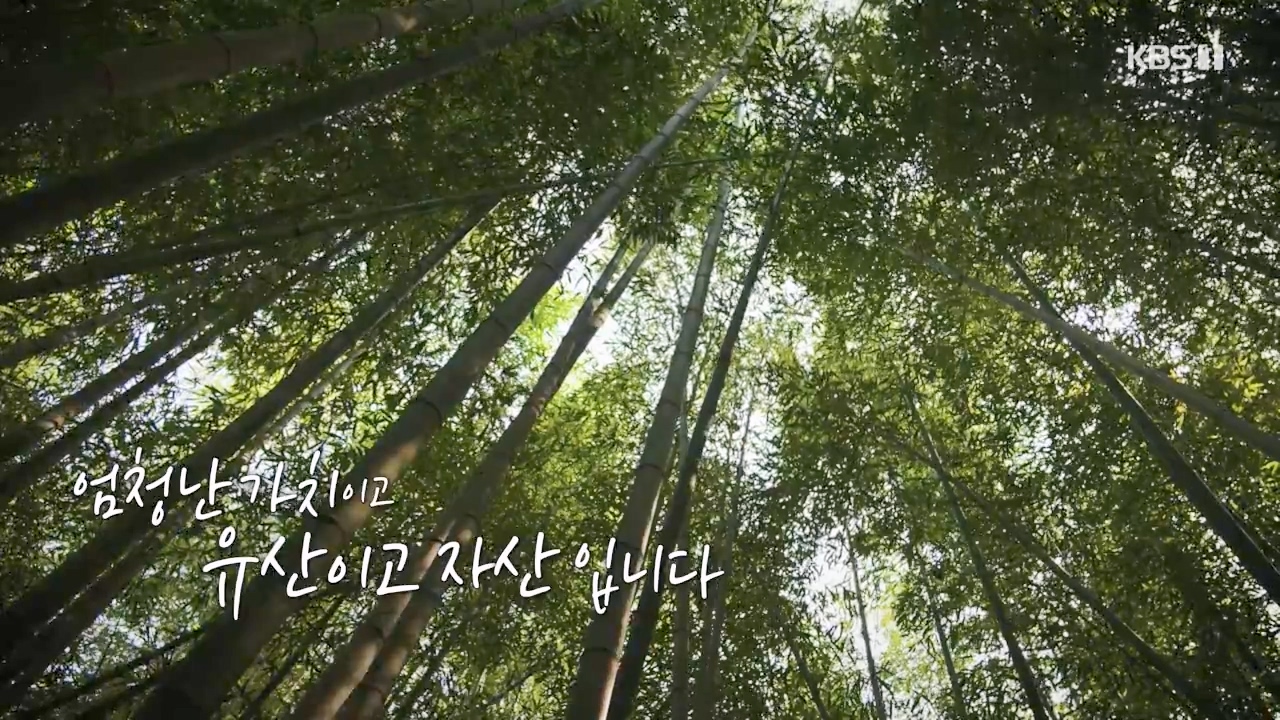 다큐 온.E206.230723p-NEXT.mp4_20230724_212009.153.jpg