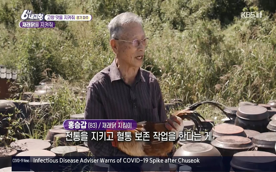 6시 내고향.E7618.220916p.H264-F1RST.mp4_20220920_202603.195.jpg