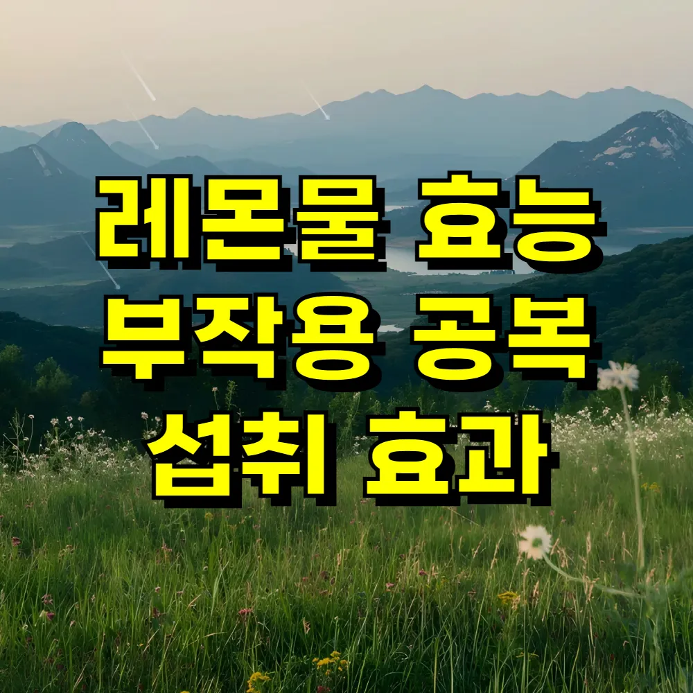 레몬물 효능 부작용 공복 섭취 효과