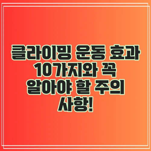 클라이밍 운동 효과 10가지와 꼭 알아야 할 주의 사항!