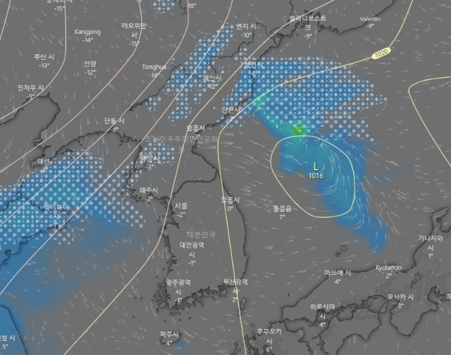 윈디닷컴-유럽기상청-ECMWF-눈비예측모델-2022년-1월10일-21시-모습