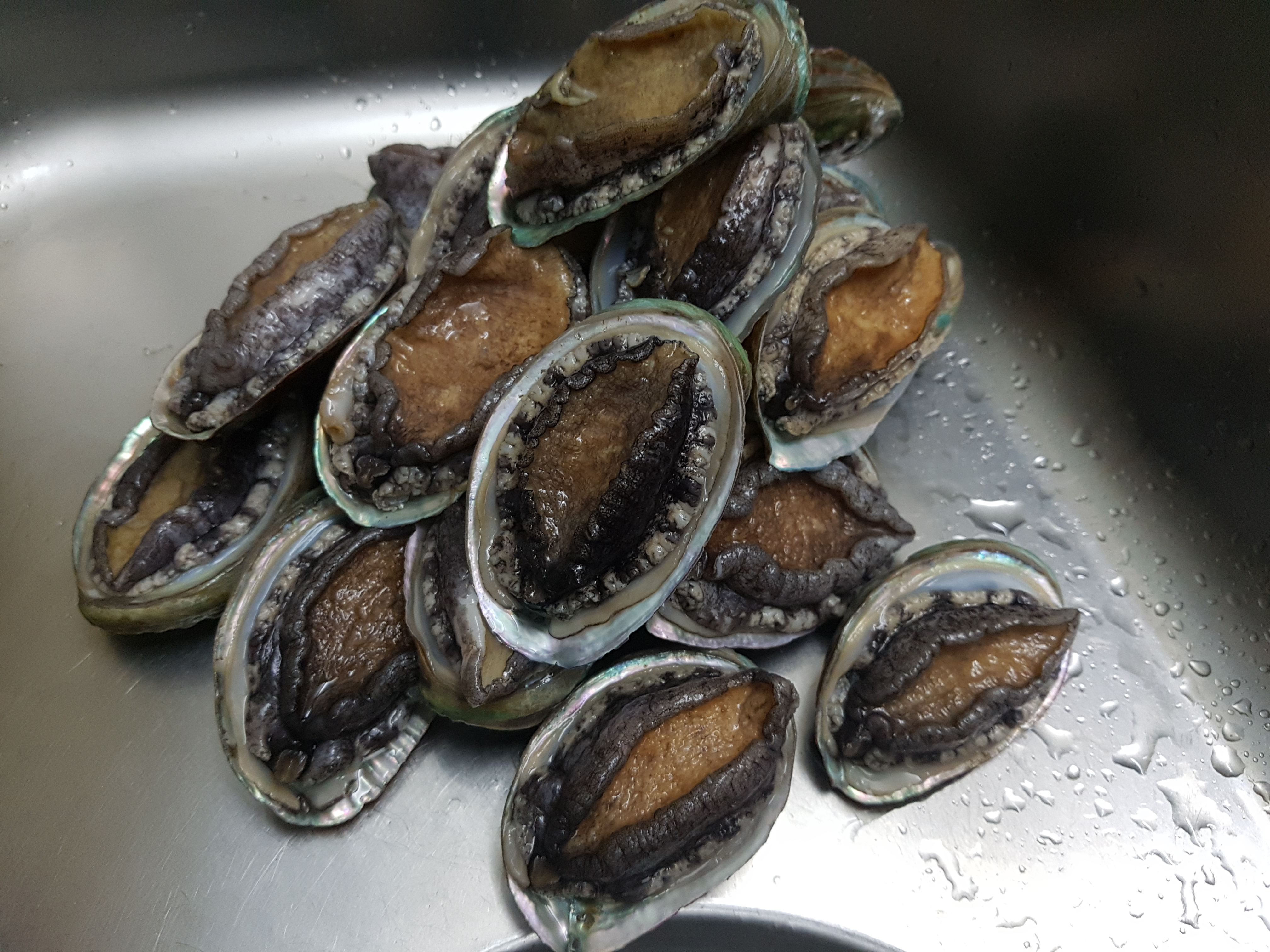  오늘은 은재가 좋아하는 전복 요리다~!