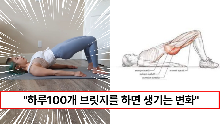 “누워서 엉덩이만 들어올리면 됩니다” 코어근육을 강화해 자세개선은 물론 애플힙까지 여자에게 너무 좋은 브릿지 운동방법