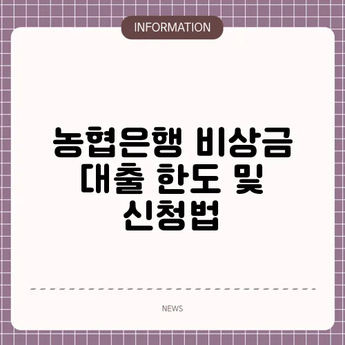 농협은행 비상금 대출 한도 및 신청법
