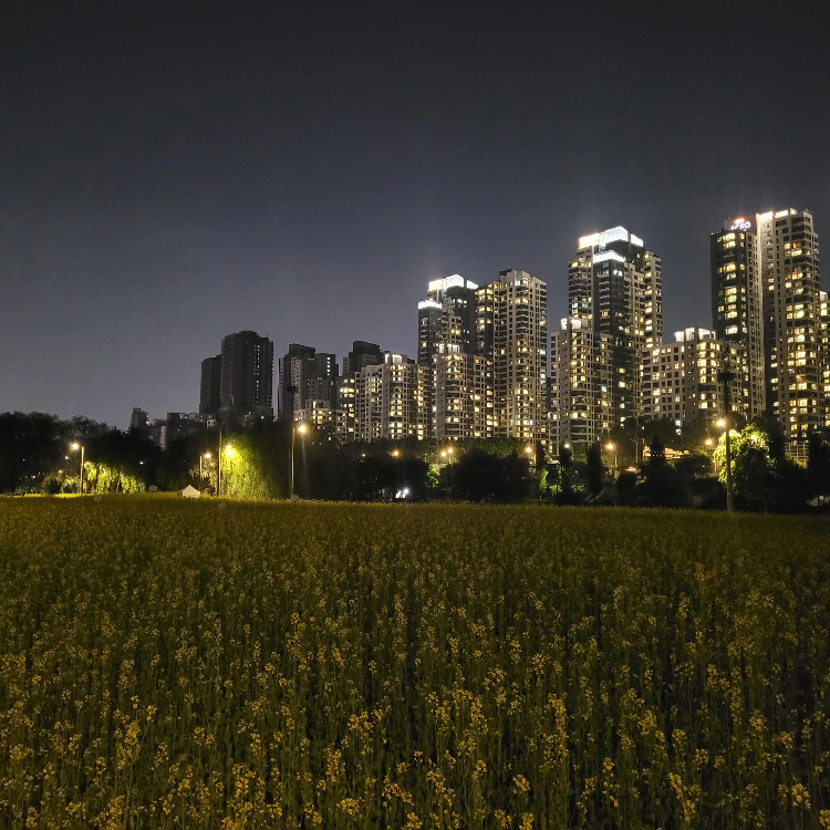 서래섬에서 바라본 강남 고층빌딩 야경