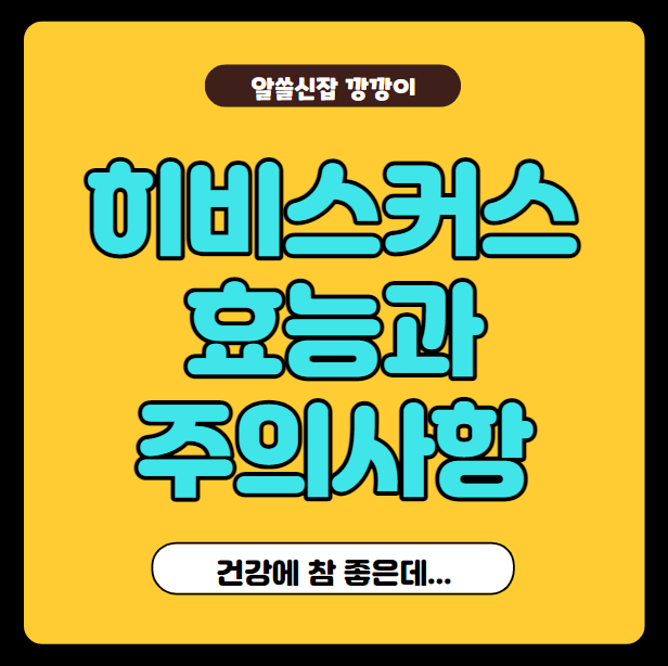  히비스커스 차의 효능 및 복용 시 주의사항 정리