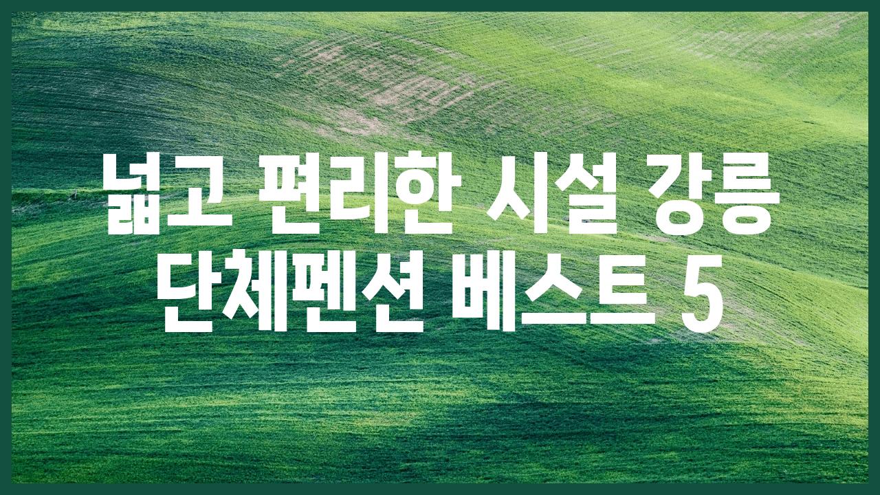 넓고 편리한 시설 강릉 단체펜션 베스트 5