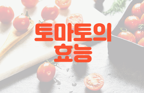  토마토의 효능 7가지