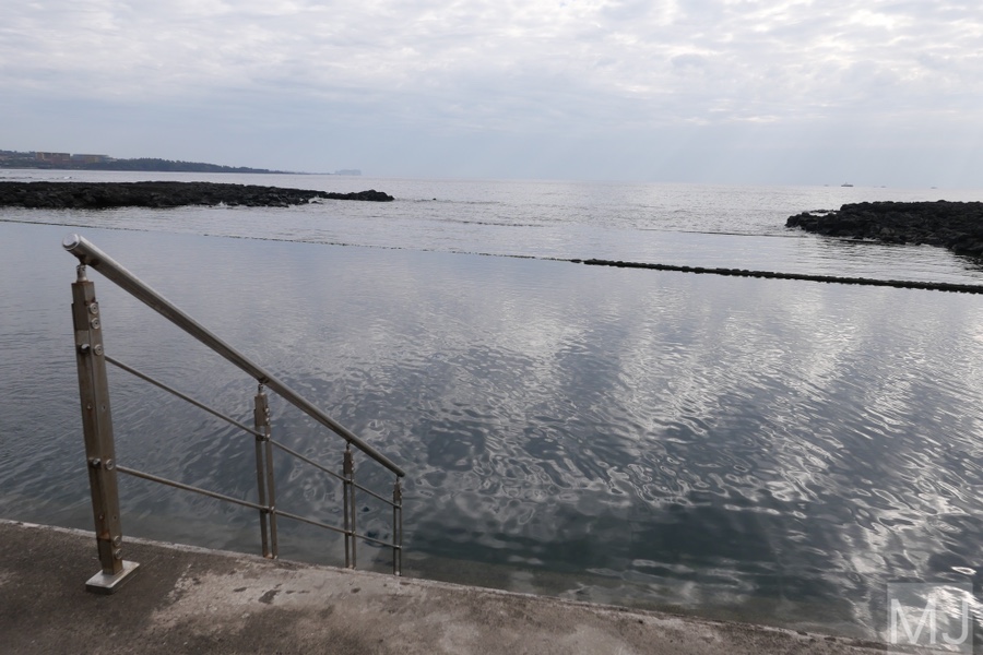 어린왕자 체험 in 감귤밭 카페 29